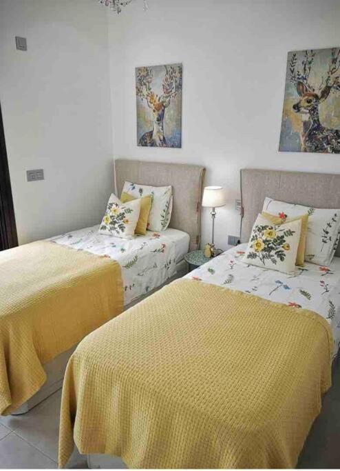Bahia Homes トレビエハ エクステリア 写真